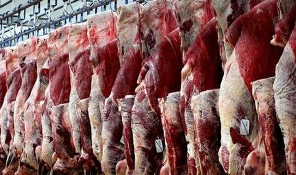 دلیل افزایش اخیر قیمت گوشت