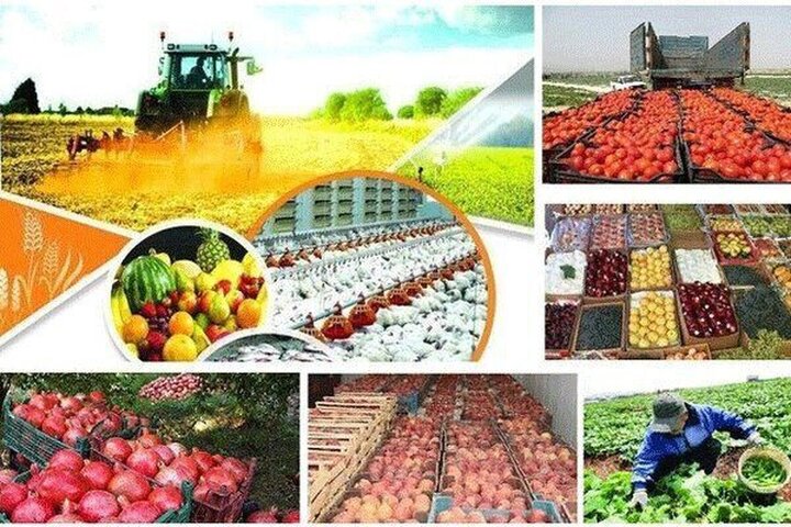 صادرات محصولات کشاورزی از مرز ۶ میلیارد دلار گذشت